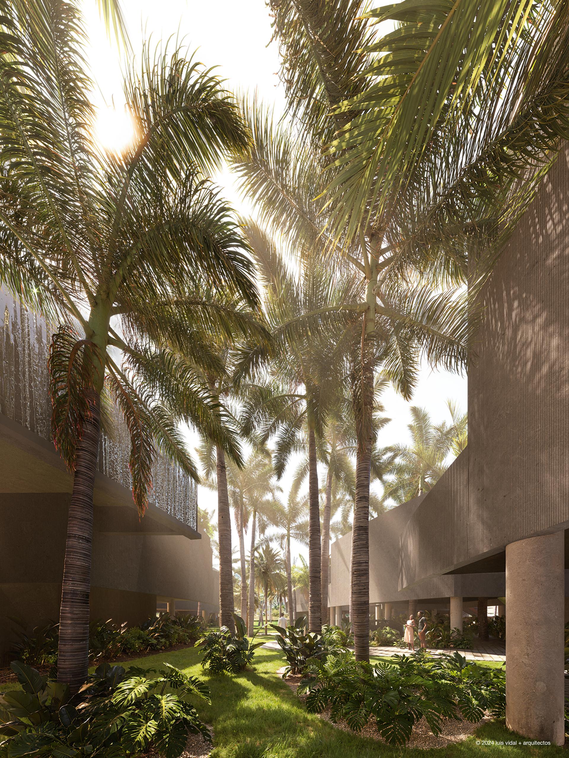 Andara 