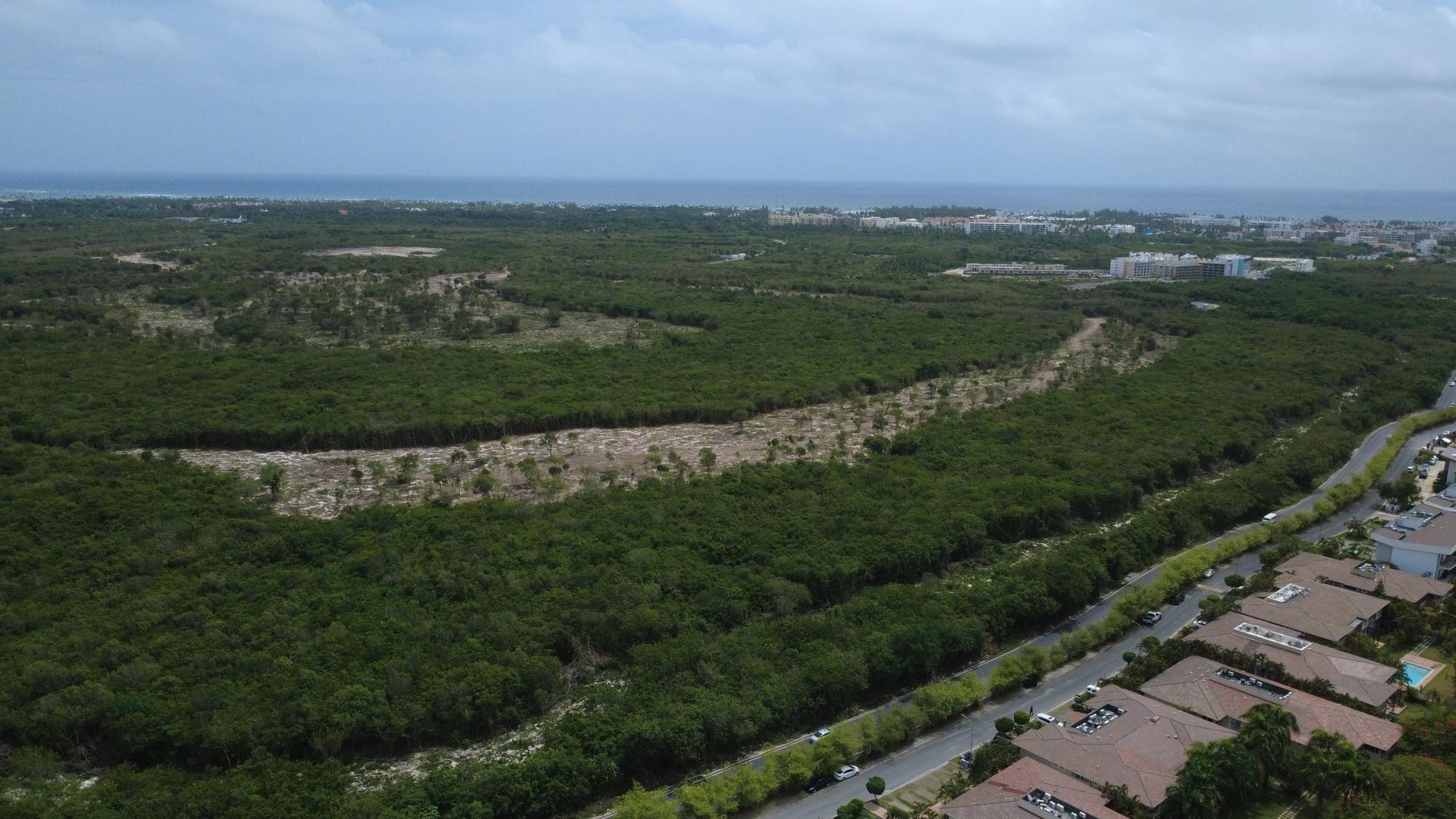 Palmira Golf